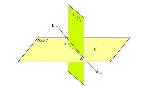Draw and label the figure that meets the following characteristics. plane t contains points r, a, an