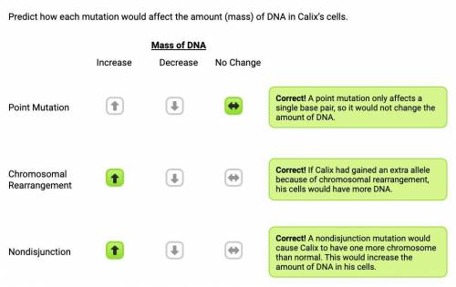 Predict how each mutation would affect the amount (mass) of DNA in Calix’s cells.
