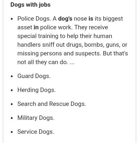 Think about jobs dogs have, and roles dogs have played in humans' lives.   be 70 words long