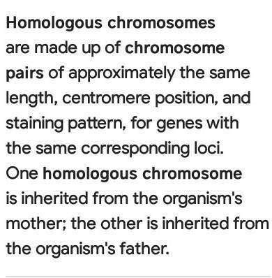 How do you get rid of homologous chromosomes?