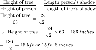 \dfrac{\text{Height of tree}}{\text{Height of person}}=\dfrac{\text{Length person's shadow}}{\text{Length of tree's shadow}}\\\\\dfrac{\text{Height of tree}}{63}=\dfrac{124}{42}\\\\\Rightarrow\ \text{Height of tree}=\dfrac{124}{42}\times63=186\ inches\\\\=\dfrac{186}{12}= 15.5 ft\ or\ 15 ft.\ 6\ inches.