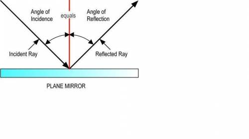 Which describes the law of reflection