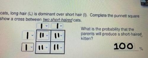 In cats Come a long hair (L) Is dominant over short hair (l). Complete the punnets square to show a