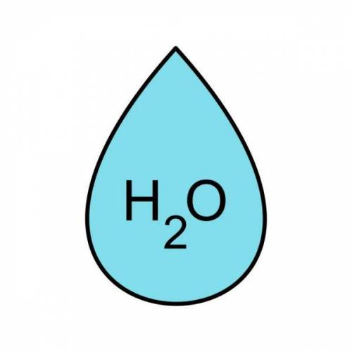 Write down the letter of the substance that represents water​