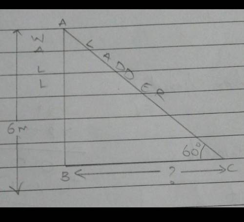Need help with this trigonometry word problem

A ladder placed against a wall such that it reaches t