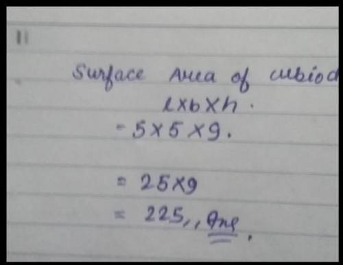 Find the surface area Of the figure. 9 cm 1 cm Insert Answer 5 cm 5 cm 1 cm ​