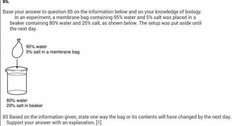 Based on the information given, state ONE way the bag or its contents will have changed by the next