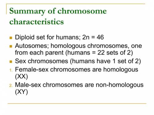 Cell and chromosome characteristics? ​