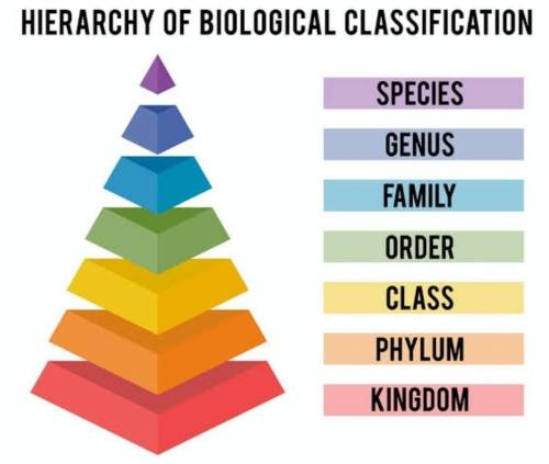 A table showing examples of organisms from different groups is provide. According to this informatio