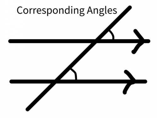 Below are two parallel lines with a third line intersecting￼ them