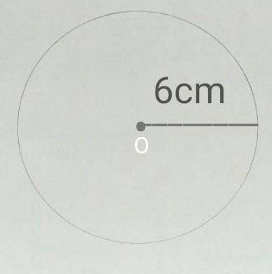 Contruct a circle with radius of 6 cm.​