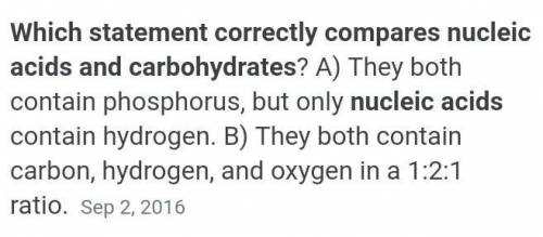 Which statement correctly compares nucleic acids and carbohydrates? ​