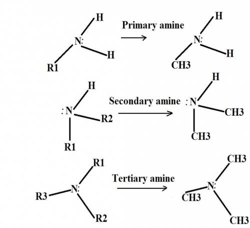 Classify the following amine as 1º, 2º, 3º or 4°

(primary, secondary, tertiary, quaternary).
(CH3)4