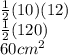 \frac{1}{2} (10)(12) \\  \frac{1}{2} (120) \\ 60 {cm}^{2}