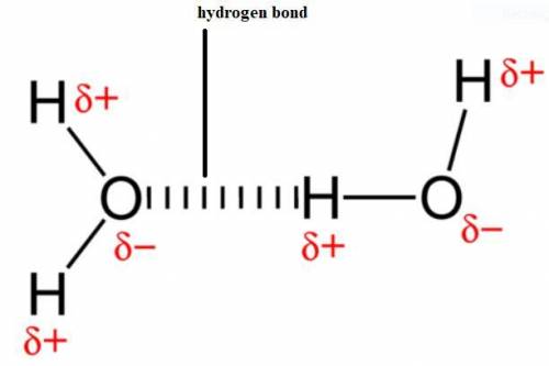 In which of the following molecules is hydrogen bonding likely to be the most significant component