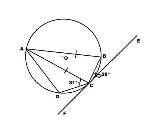 O is the centre of the circle, EF is a tangent, angle BCE = 28°, angle ACD = 31°

Line AB = line AC