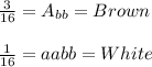 \frac{3}{16} = A_{bb} = Brown\\\\\frac{1}{16} = aabb = White\\\\