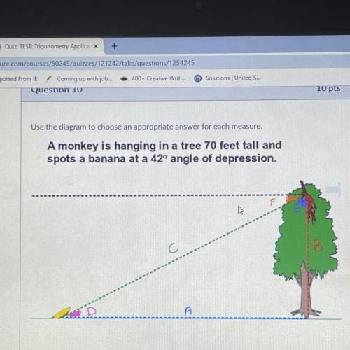 A monkey is hanging in a tree 70 feet tall and
spots a banana at a 42° angle of depression.