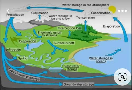 What's water cycle Draw one