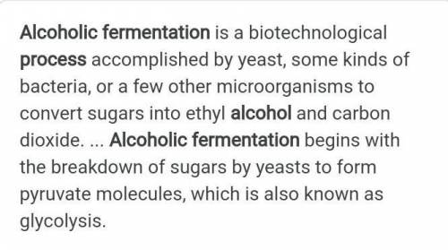 Show in chemistry the fermentation of carbohydrate to form alcohol​