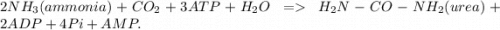 2 NH_3 (ammonia) + CO_2 + 3 ATP + H_2O \ = \  H_2N-CO-NH_2 (urea) + 2 ADP + 4 Pi + AMP.