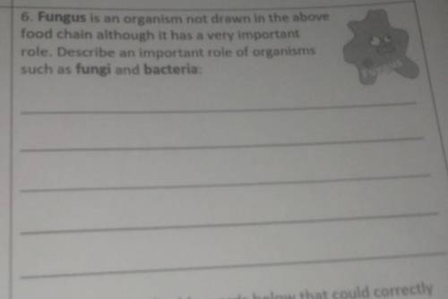 6. Fungus is an organism not drawn in the abovefood chain although it has a very importantrole. Desc