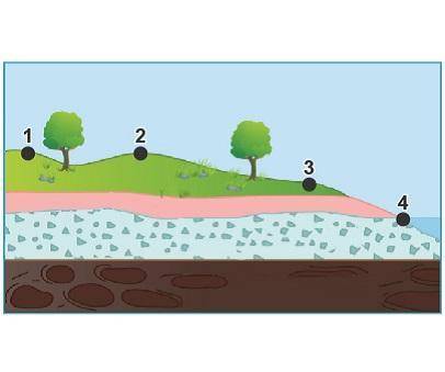 Which could be the location where water emerges from the surface as a spring? A. 1B. 2C. 3D. 4