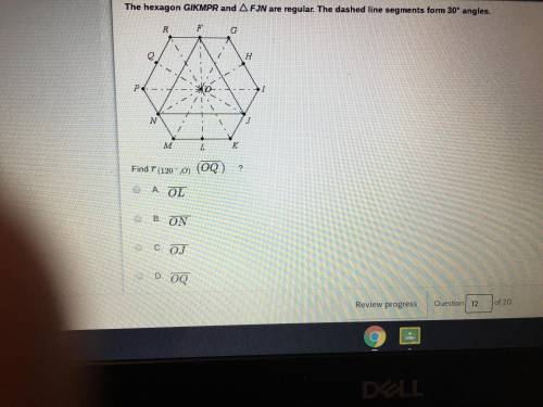 Need help with these questions need answers fast