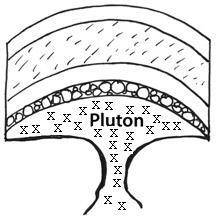 PLLLZ HELP ANSWER IF YOU KNOW The pluton shown is called a laccolith. True False