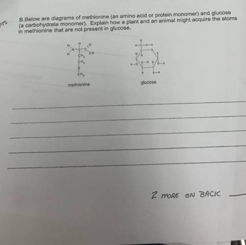 I kinda need help on this assignment for chemistry