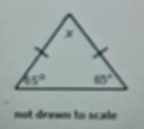 Find the measure of x in the triangle. Show all your work.