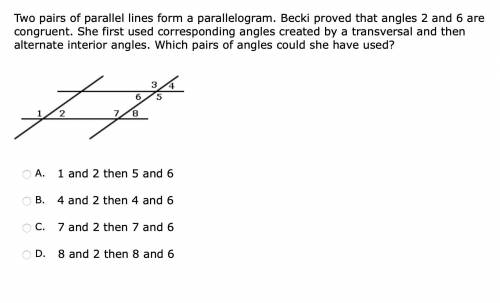 Question 28: Please help, which pairs of angles could she have used?