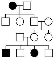 Is the trait in the pedigree below dominant or recessive?
