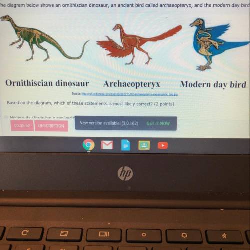 The diagram below shows an ornithischian dinosaur, an ancient bird called archaeopteryx, and the mod
