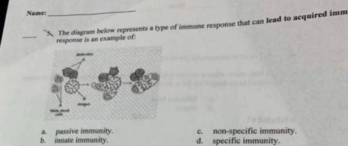 The diagram below represents a type of immune response that can lead to acquired immune response is