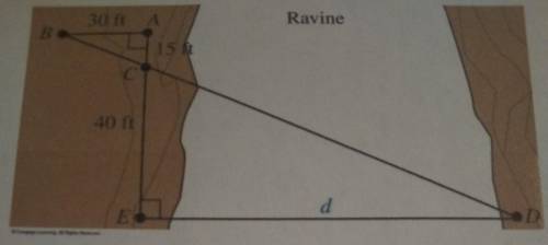 Two hikers come to a ravine and want to know how wide it is. They set up two similar triangles as sh