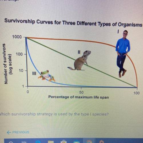 This graph shows three types of species based on the different patterns of survivorship.  Which surv