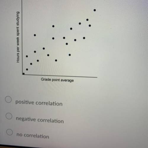 What type of correlation is shown in the scatter plot?