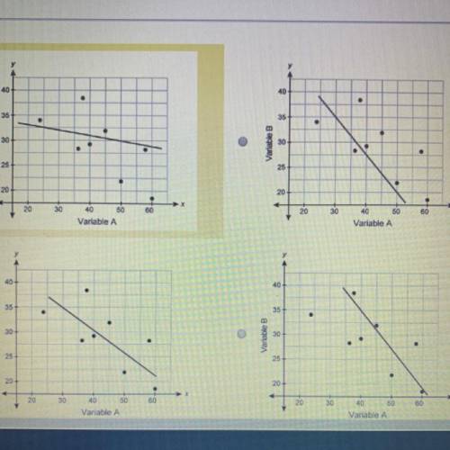 Which line is best model for the data in the scatter plot