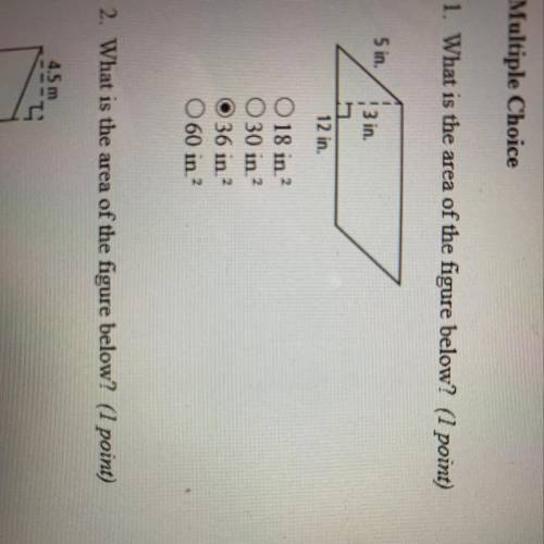 PLEASE ANSWER FAST! 1. What is the area of the figure below? (1 point) A) 18 in sqrt (2) B) 30 in sq