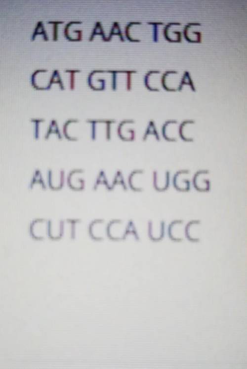 The DNA sequence tac ttg acc must be transcribed before it is read. what is the correct sequence tha