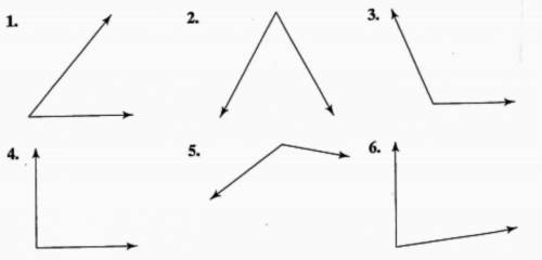 Find the measure of each angle using a protracter