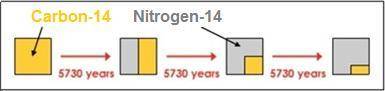 What is the age of a fossil that contains one-fourth of the amount of carbon-14 found in living orga