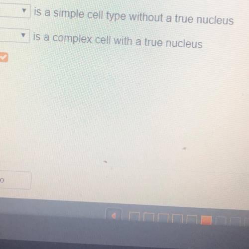 Blank ....is a simple cell type without a true nucleus Blank ...is a complex cell with a true nucleu