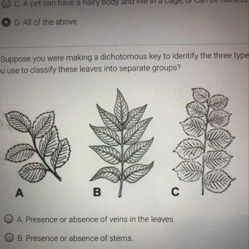 Suppose you were making a dichotomous key to identify the three types if leaves shown below. Which o