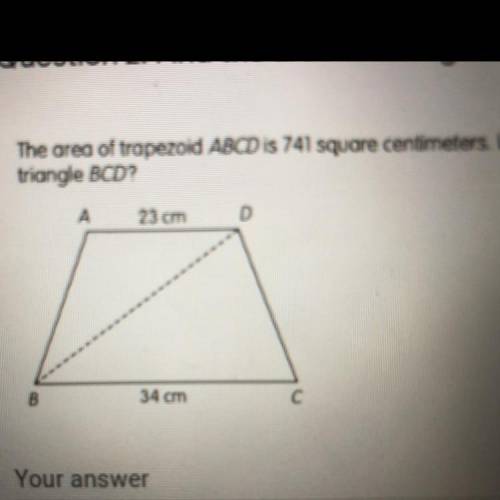 Find the area of triangle BCD, in square centimeters.