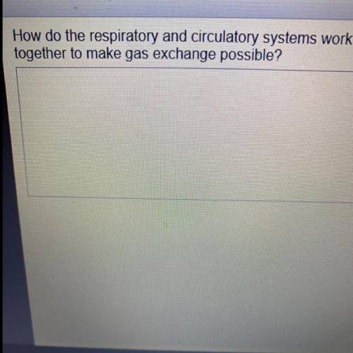 How do the respiratory and circulatory systems work together to make gas exchange possible