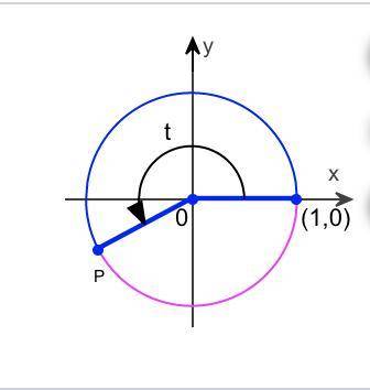 A point P(x,y) is shown on the unit circle corresponding to a real number t. Find the values of the