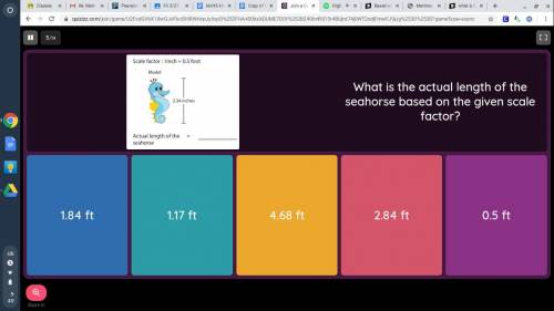 What is the actual length of the seahorse, based on the given scale factor?