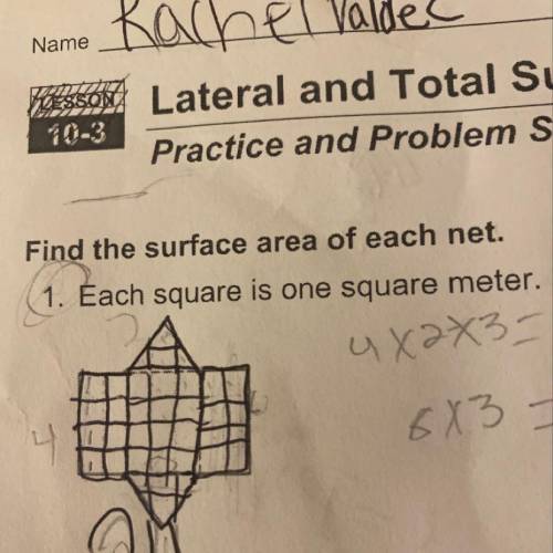 What’s the surface area of each net .please help